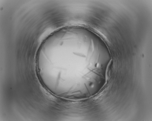 X0000088571471200706081046