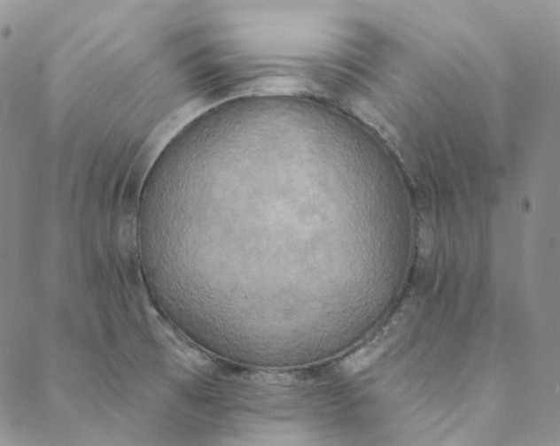 X0000088571473200706081046