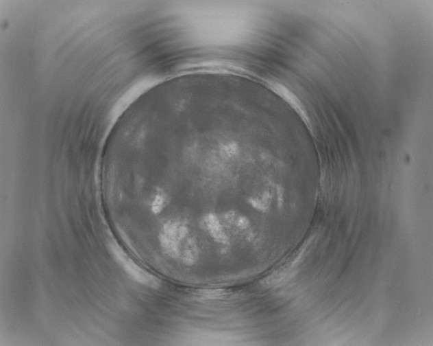 X0000088571482200706081045