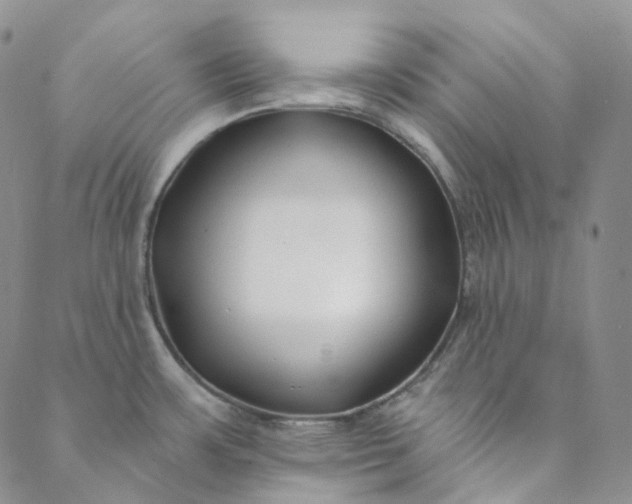 X0000088571483200706081045