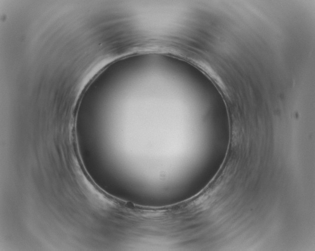 X0000088571484200706081045