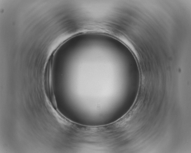 X0000088571485200706081045