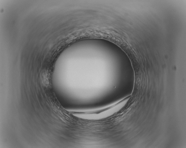 X0000088571490200706081045