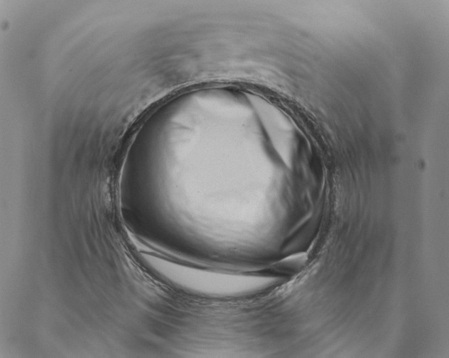 X0000088571497200706081045
