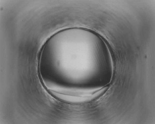 X0000088571508200706081045