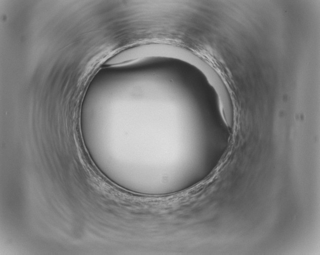 X0000088570001200706151658