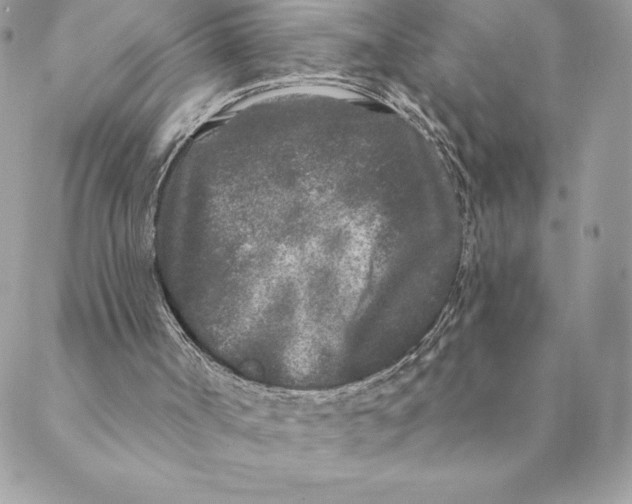 X0000088570002200706151658