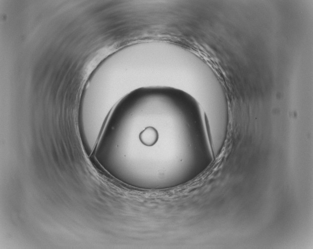 X0000088570003200706151658