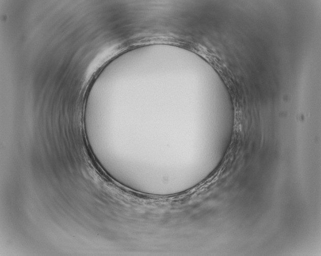 X0000088570004200706151658