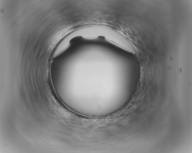 X0000088570005200706151658