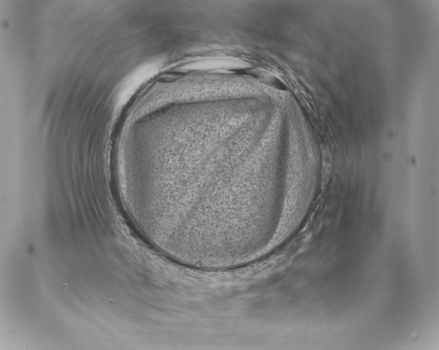 X0000088570006200706151658