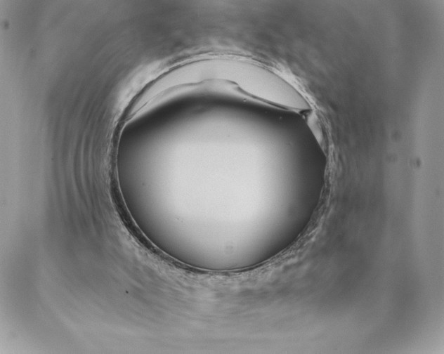 X0000088570007200706151658