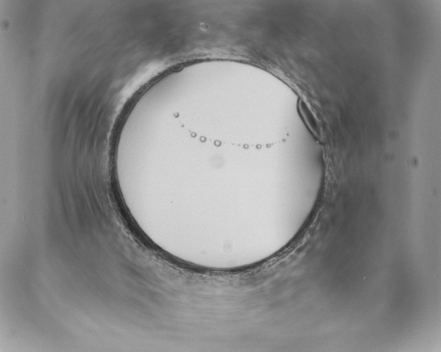 X0000088570008200706151658