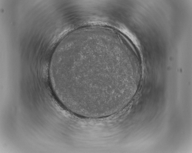 X0000088570009200706151658