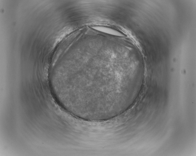 X0000088570010200706151658