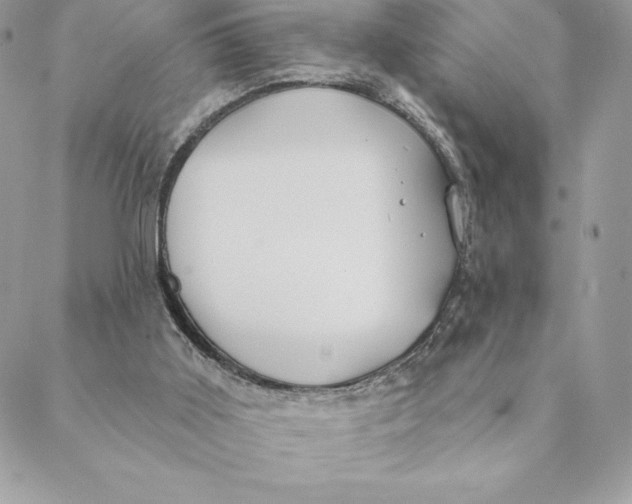 X0000088570011200706151658