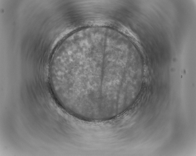 X0000088570012200706151658