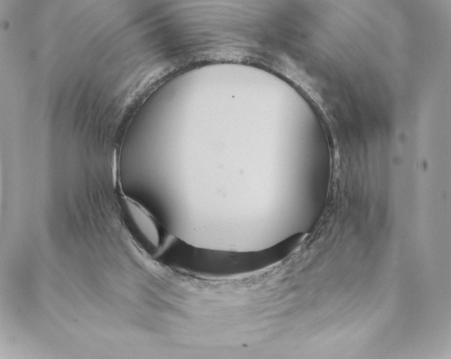 X0000088570013200706151658