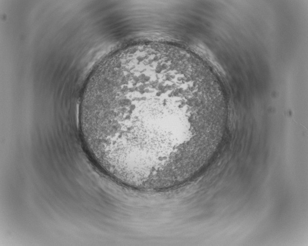 X0000088570014200706151658