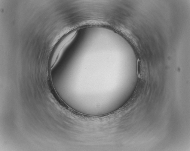 X0000088570015200706151658