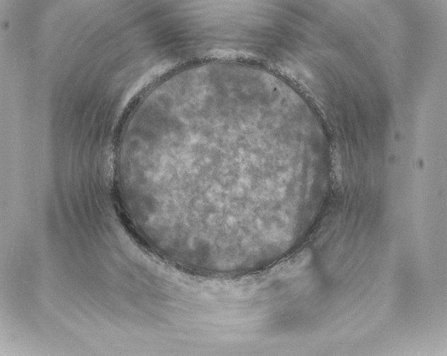 X0000088570016200706151658