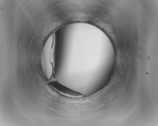 X0000088570017200706151658