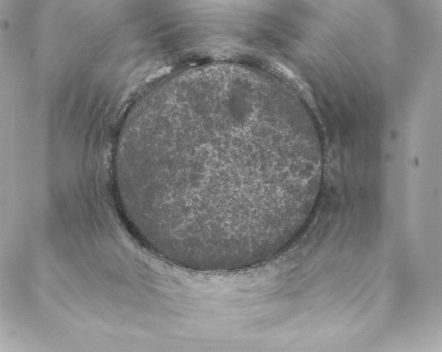 X0000088570018200706151658