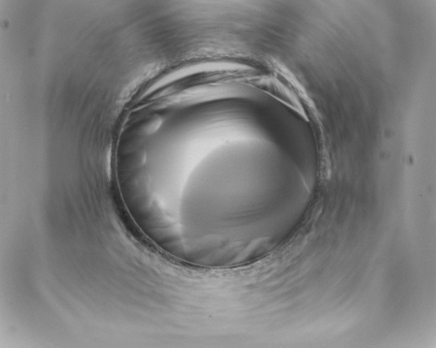 X0000088570019200706151658