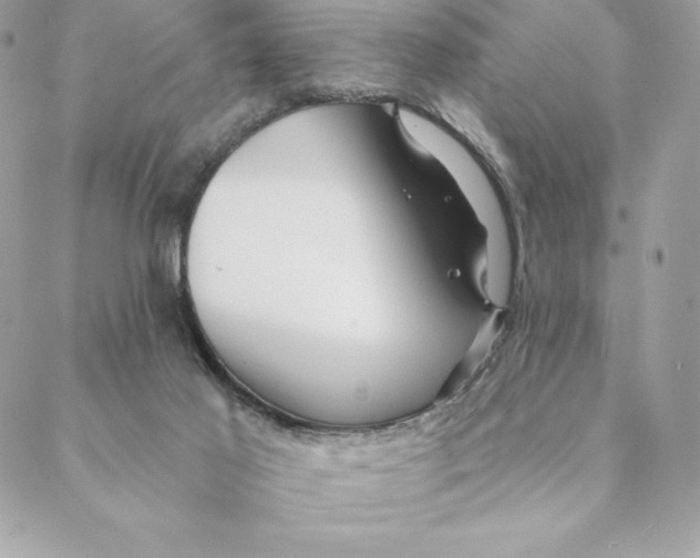 X0000088570021200706151658