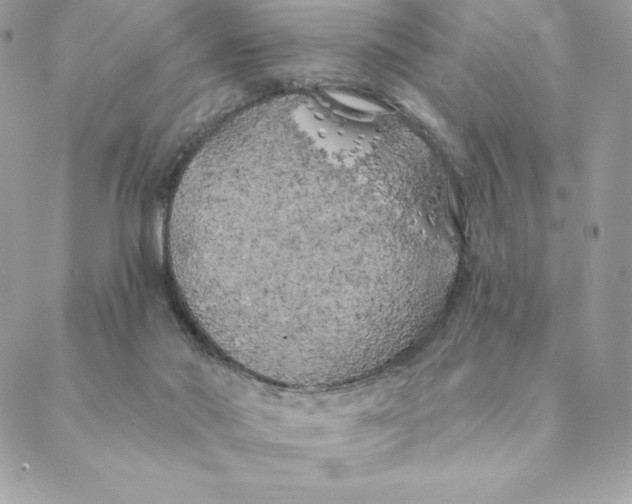 X0000088570022200706151658