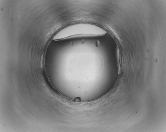 X0000088570023200706151658