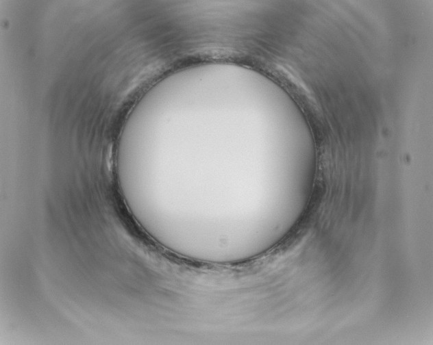 X0000088570024200706151658