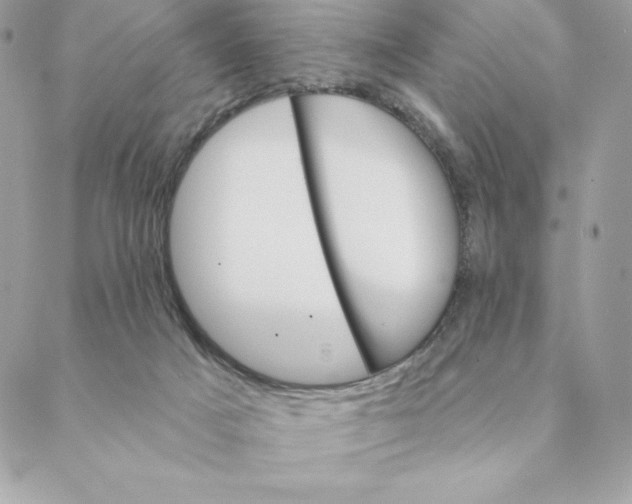 X0000088570025200706151658