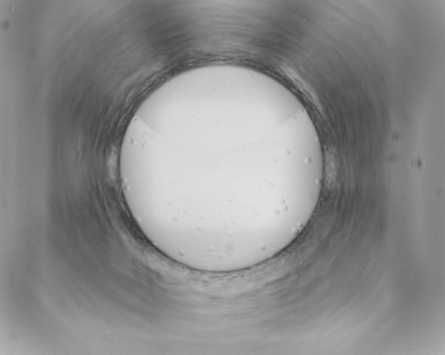 X0000088570026200706151658