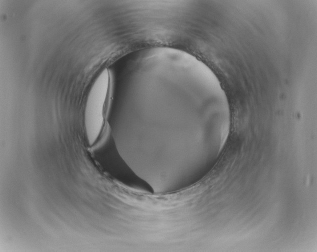 X0000088570027200706151658