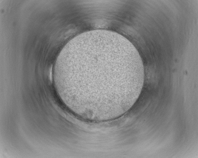 X0000088570028200706151657