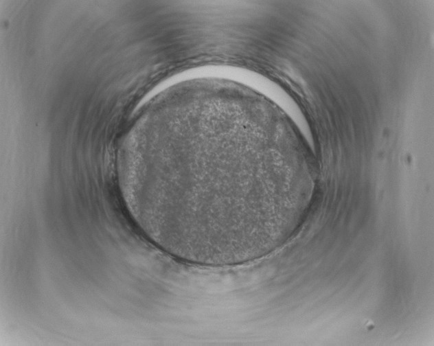 X0000088570029200706151657