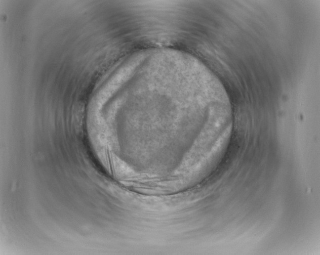 X0000088570030200706151657