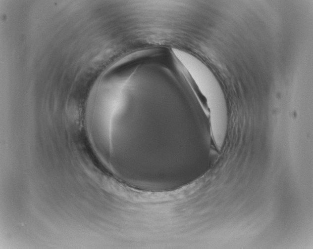 X0000088570031200706151657