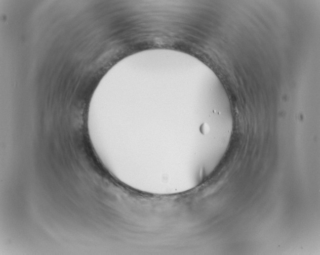 X0000088570032200706151657