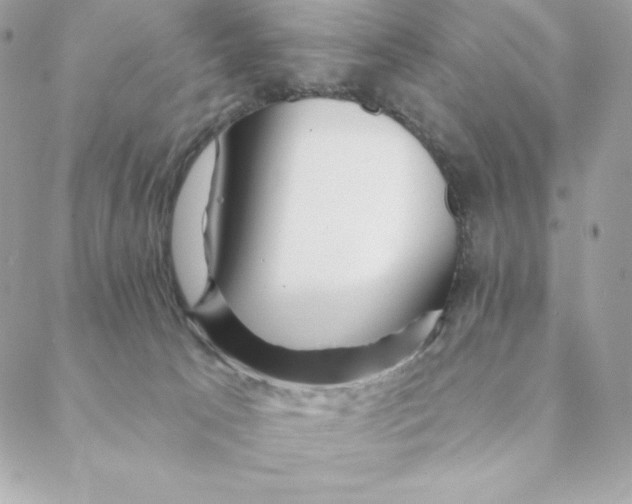 X0000088570033200706151657