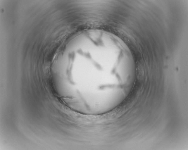 X0000088570034200706151657