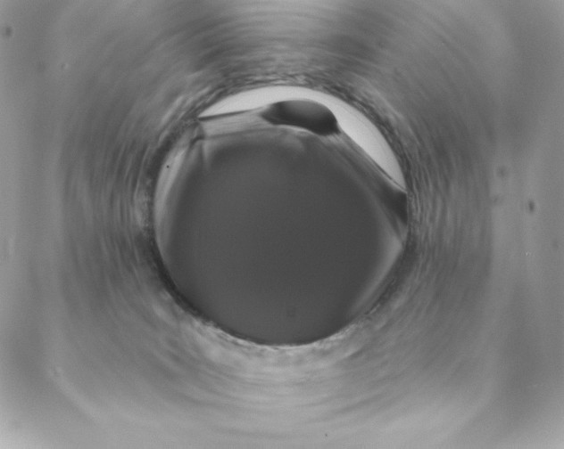 X0000088570035200706151657