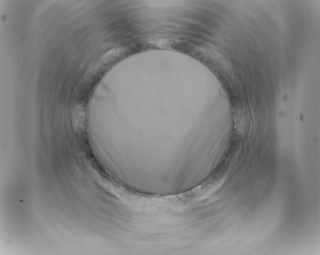 X0000088570036200706151657