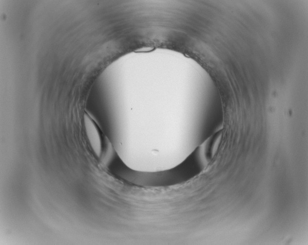 X0000088570037200706151657