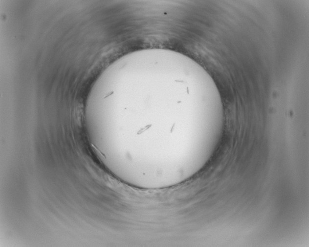 X0000088570038200706151657