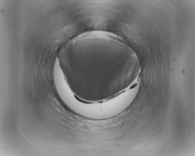 X0000088570039200706151657