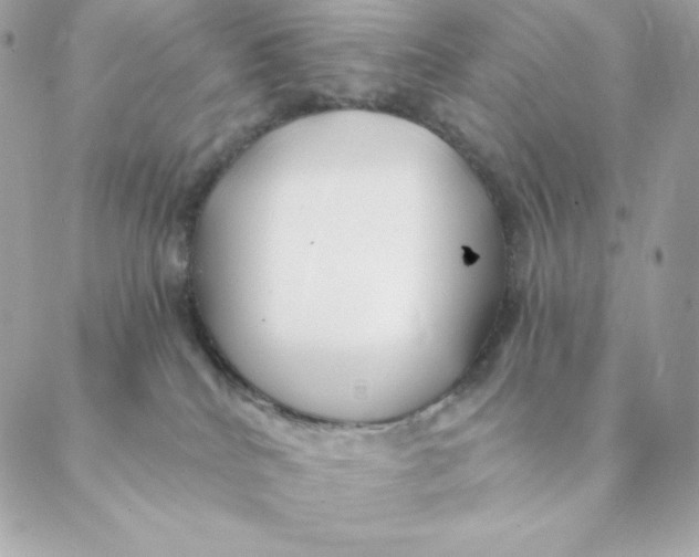 X0000088570040200706151657