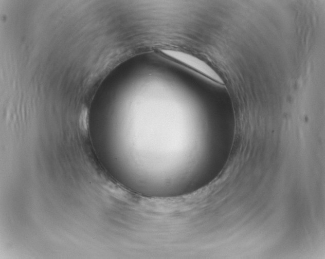 X0000088570041200706151657