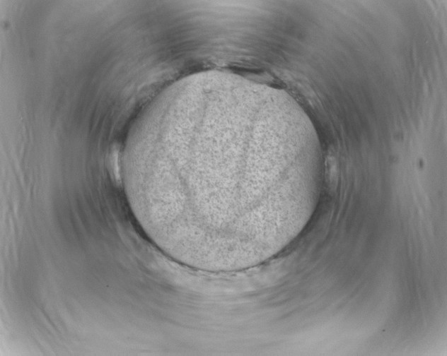 X0000088570042200706151657